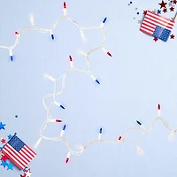 Northlight 34ft 150ct Chasing Mini String Lights