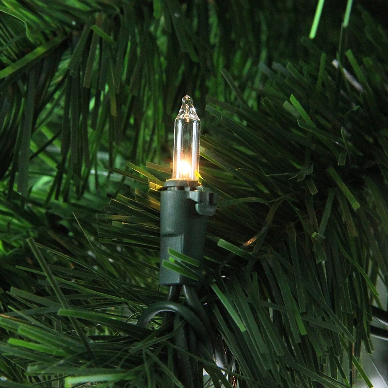 Northlight 6ft Lighted Tropical Artificial Palm 6 Foot Pre-Lit Tropical Christmas Tree