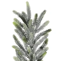 Northlight 6ft Frosted Pine Christmas Indoor Garland
