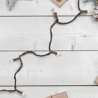 Northlight 68ft 300ct Clear Commercial Mini String Lights