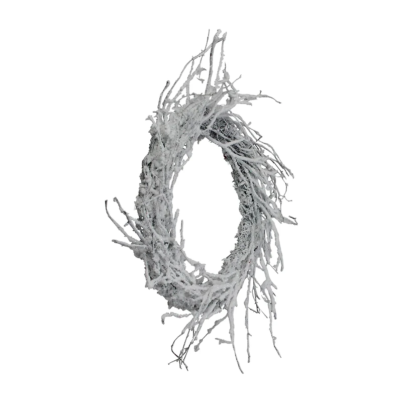 Northlight 24" Snow Flocked Iridescent Glitter Wreath