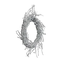 Northlight 24" Snow Flocked Iridescent Glitter Wreath