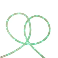 Northlight 18ft Led Green String Lights