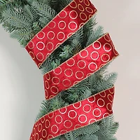 Northlight 48ft Circle Wired Indoor Ribbon