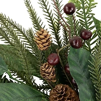 Northlight 20" Mixed Foliage With Berries Artificial Wreath