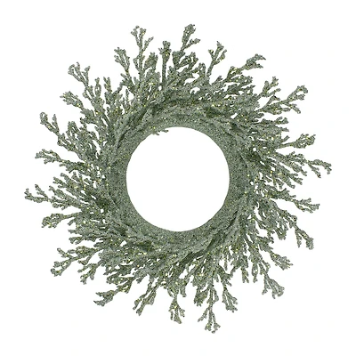 Northlight 20" Artificial Glittered Coral Wreath
