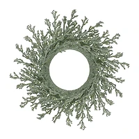 Northlight 20" Artificial Glittered Coral Wreath