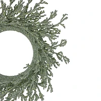 Northlight 20" Artificial Glittered Coral Wreath