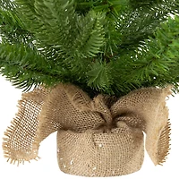 Northlight 24" Potted Sarasota Pine Artificial Mini 2 Foot Pine Christmas Tree