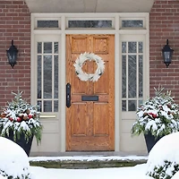 Northlight 24" Flocked Artificial With Pine Cones Wreath