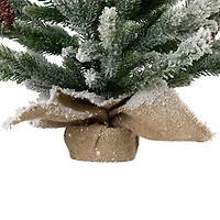 Northlight 25" Potted Flocked Mini Fir Pine 2 Foot Flocked Pine Christmas Tree