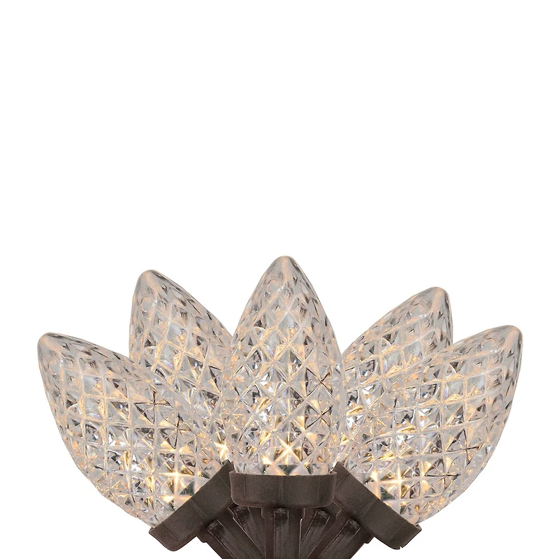 Northlight 66ft 100 Warm White Led Faceted C9 String Lights