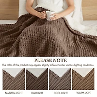 Madison Park Eden Waffle Knit Chenille Throw