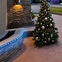 Northlight 18ft Led Rope Lights String Lights