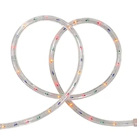 Northlight 18ft Flexible Incandescent Outdoor String Lights