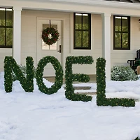 Northlight 6ft Pre Lit Noel Artificial Pine Christmas Yard Art