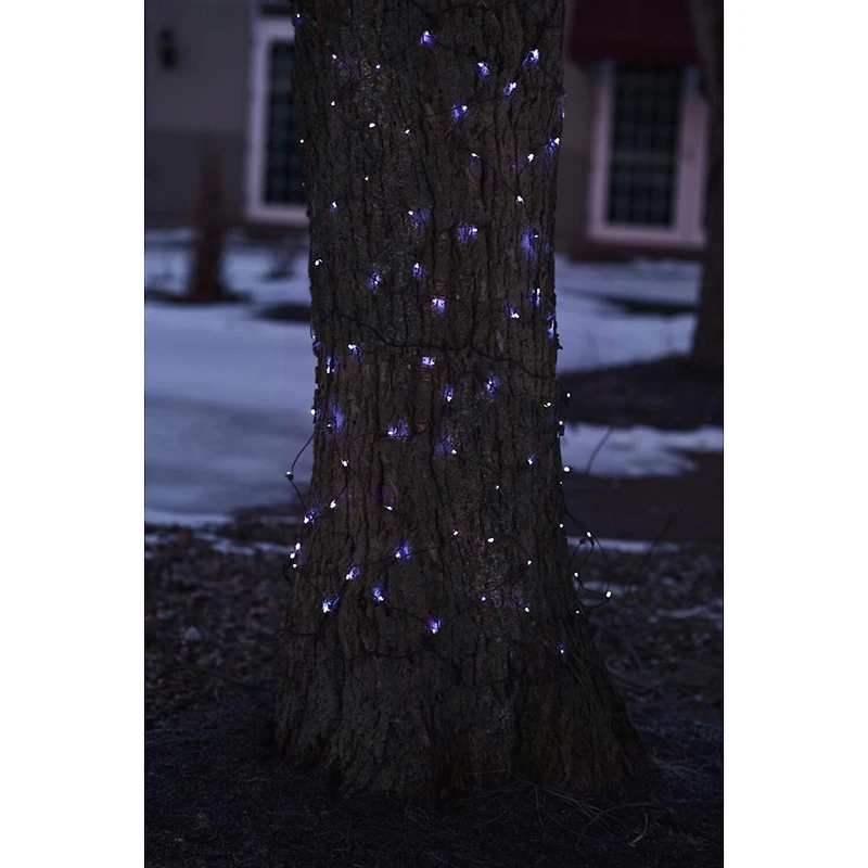 Northlight 2ft Mini Incandescent Net Lights