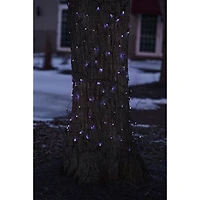 Northlight 2ft Mini Incandescent Net Lights