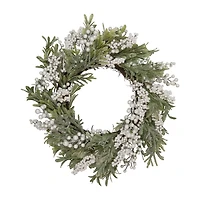 Northlight 20" Frosted Foliage And Berries Wreath