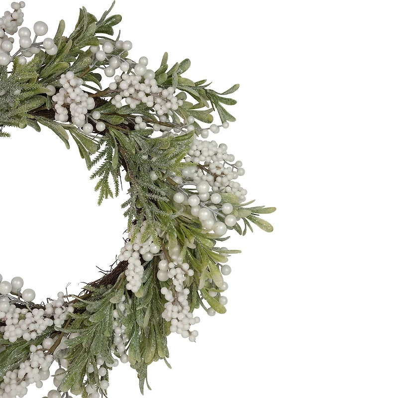 Northlight 20" Frosted Foliage And Berries Wreath