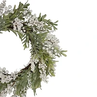 Northlight 20" Frosted Foliage And Berries Wreath