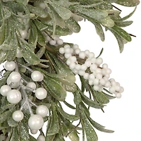 Northlight 20" Frosted Foliage And Berries Wreath