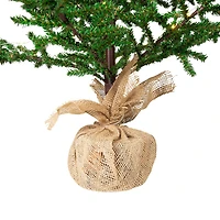 Northlight 4ft Pre Lit With Pinecones And Burlap Base 4 Foot Pre-Lit Pine Christmas Tree