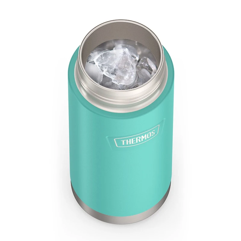 Thermos Stainless Steel 18oz. Water Bottle with Straw
