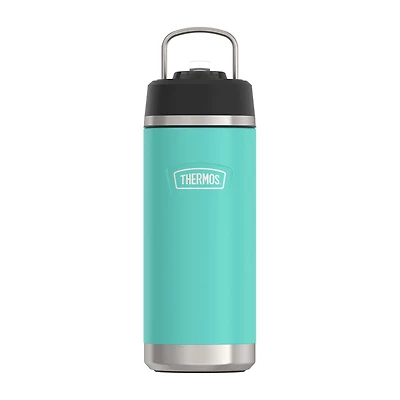 Thermos Stainless Steel 18oz. Water Bottle with Straw