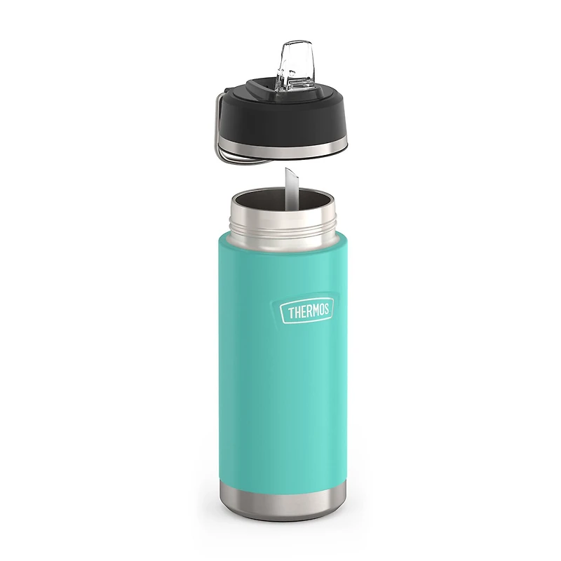 Thermos Stainless Steel 18oz. Water Bottle with Straw