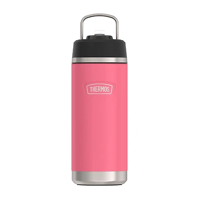 Thermos Stainless Steel 18oz. Water Bottle with Straw