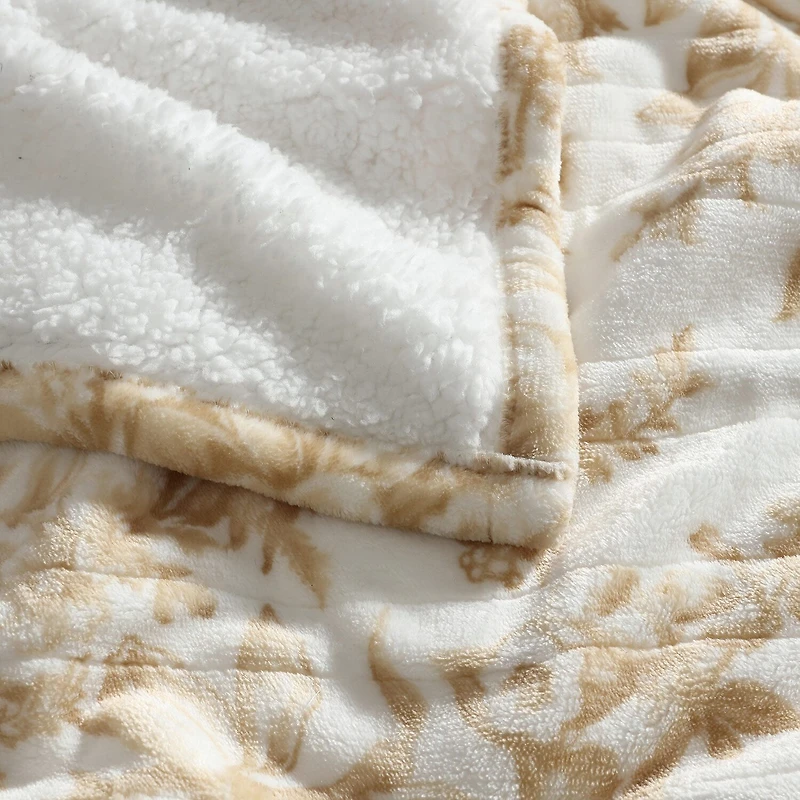 Laura Ashley Bedford Heated Midweight Floral Blanket