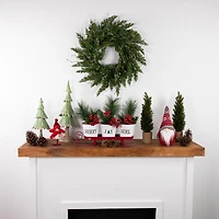Northlight 24in Iced Cedar Unlit Wreath