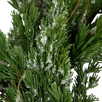 Northlight 24in Iced Cedar Unlit Wreath