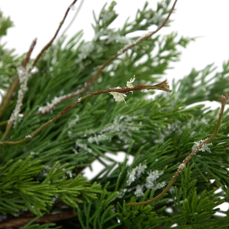 Northlight 24in Iced Cedar Unlit Wreath