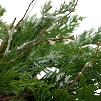 Northlight 24in Iced Cedar Unlit Wreath