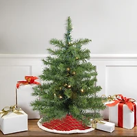 Northlight Canadian Pine With Warm Clear Lights 2 Foot Pre-Lit Pine Christmas Tree
