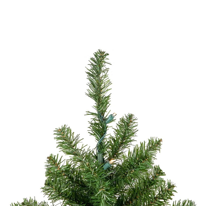 Northlight Canadian Pine With Warm Clear Lights 2 Foot Pre-Lit Pine Christmas Tree