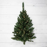 Northlight Buffalo Fir With Clear Lights 3 Foot Pre-Lit Christmas Tree