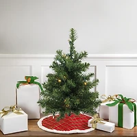 Northlight Medium Canadian Pine With Clear Led Lights 1 1/2 Feet Pre-Lit Pine Christmas Tree
