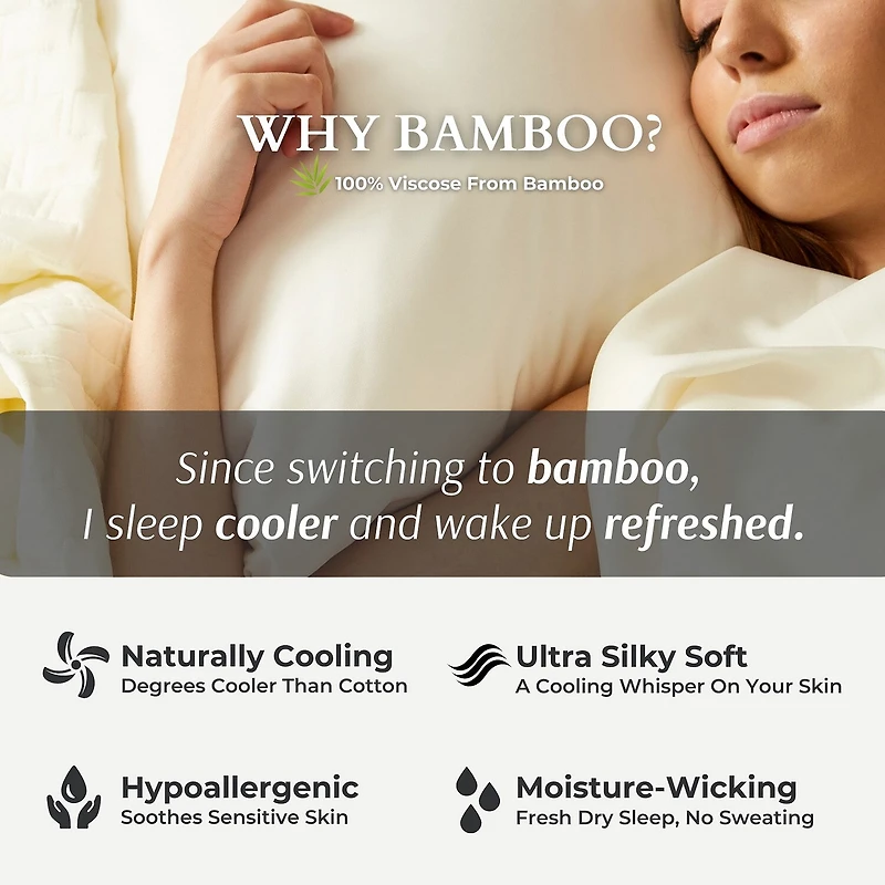 BedVoyage 300tc Rayon from Bamboo Sheet Set