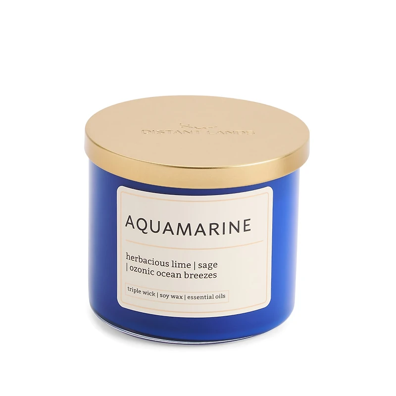 Distant Lands Aquamarine 3-Wick Scented Jar Candle