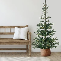 6.5' Pre-Lit Nordmann Fir Artificial Christmas Tree  Warm Clear LED Lights