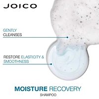 Joico Moisture Recovery Shampoo 10.1 oz.