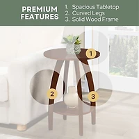 Convenience Concepts Aldrin End Table