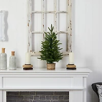 Nearly Natural 2 Foot Pine In Decorative Basket With 35 Clear Led Lights Pre-Lit Christmas Tree