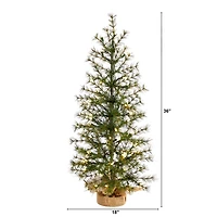 Nearly Natural 3 Foot Pine In A Burlap Base With 50 Clear Led Lights Pre-Lit Christmas Tree
