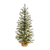 Nearly Natural 3 Foot Pine In A Burlap Base With 50 Clear Led Lights Pre-Lit Christmas Tree
