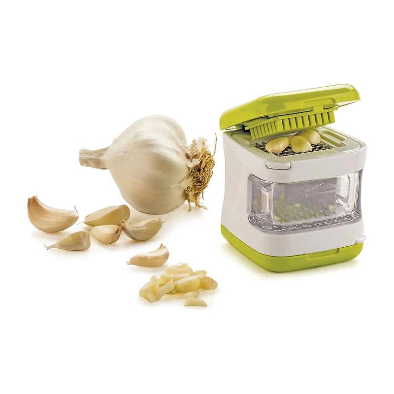 Design Imports Garlic Cube