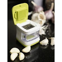 Design Imports Garlic Cube